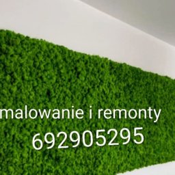 Firma Remontowo - Malarska "ADASCO" - Malowanie Ścian Wilkowuje
