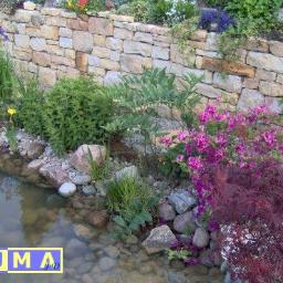 DUMAjd - Ogród z kamienną ścianą, oczkiem wodnym, różnorodną roślinnością, w tym purpurowym klonem palmowym i kwitnącymi azaliami.
