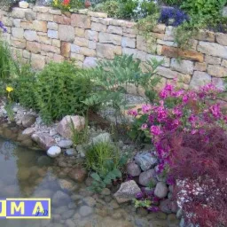 Ogród z kamienną ścianą, oczkiem wodnym, różnorodną roślinnością, w tym purpurowym klonem palmowym i kwitnącymi azaliami.