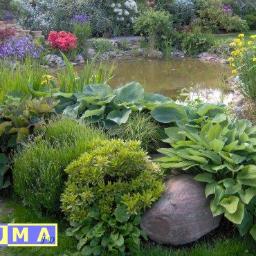 DUMAjd - aranżacja i kompleksowe wykonawstwo ogrodów, terenów zielonych