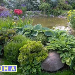 aranżacja i kompleksowe wykonawstwo ogrodów, terenów zielonych