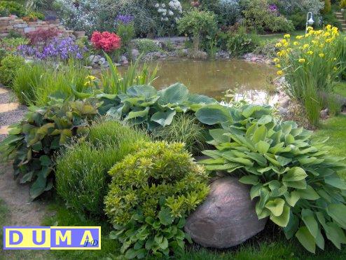 aranżacja i kompleksowe wykonawstwo ogrodów, terenów zielonych