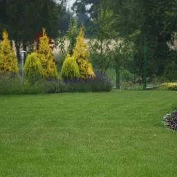 Zakładanie ogrodów