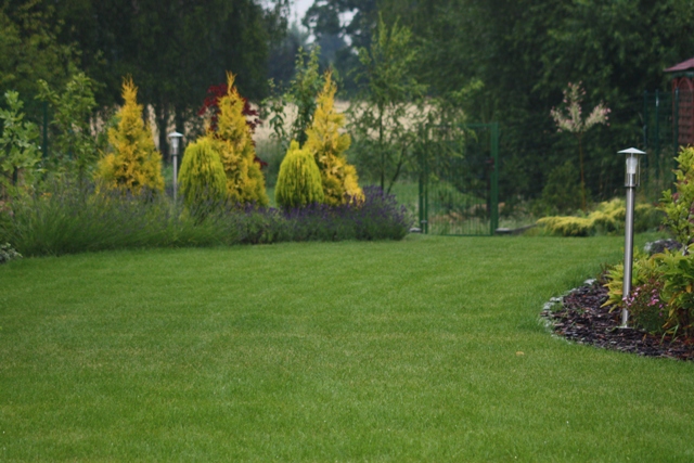 Zakładanie ogrodów