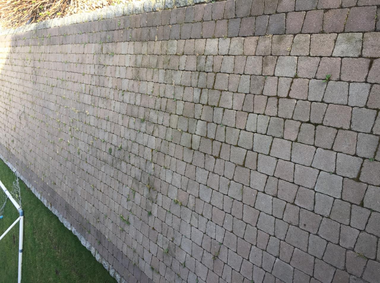 Chodnik z kostki brukowej przed czyszczeniem, widoczne zabrudzenia, mech i chwasty w spoinach, z boku trawnik i fragment bramki.