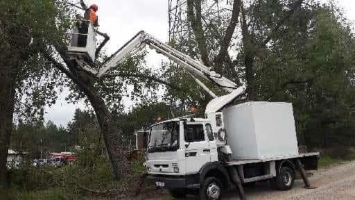 Pracownik w pomarańczowej kamizelce i kasku, w koszu podnośnika zamontowanego na białej ciężarówce, przycina gałęzie drzewa w pobliżu linii energetycznych.