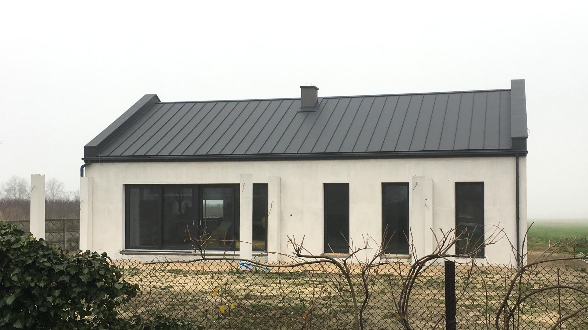 Nowoczesny, parterowy dom z ciemnym, metalowym dachem i białymi ścianami, widziany zza metalowej siatki ogrodzeniowej i krzewu bluszczu, w pochmurny dzień.