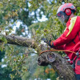 Arborysta w czerwono-żółtym kombinezonie i kasku z osłoną tnący gałąź drzewa piłą łańcuchową, w powietrzu wióry i pył.