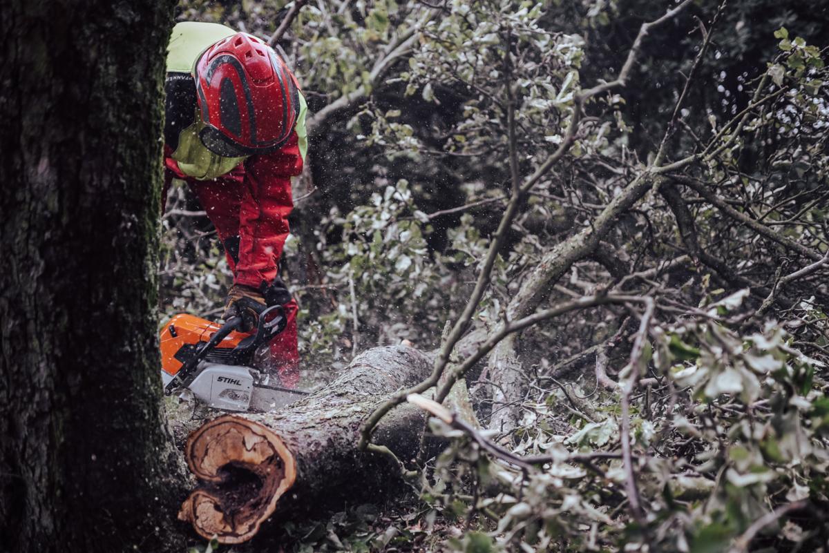 Operator w kasku i odzieży ochronnej tnie piłą spalinową grubą gałąź drzewa, widoczne opiłki drewna w powietrzu.