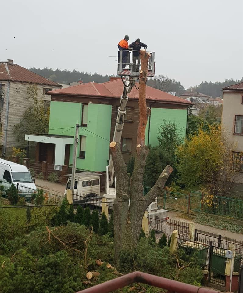 Dwóch pracowników na podnośniku koszowym przycina wysokie drzewo, w tle widoczne domy i porozrzucane gałęzie.