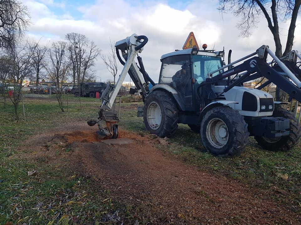Biały traktor z frezarką do pni drzew na działce z resztkami po frezowaniu, widoczne drzewa w tle.