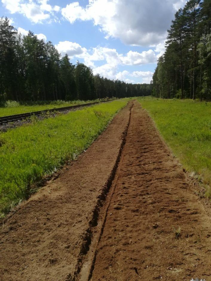 Przygotowany pas ziemi z wykopanym rowkiem, prawdopodobnie pod sadzenie drzew, widok w kierunku oddalającego się lasu, obok torów kolejowych.