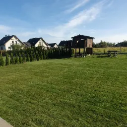 Rozległy, idealnie skoszony trawnik przed domem z regularnym rzędem tuj, drewnianym domkiem na drzewie i widokiem na góry w tle, w słoneczny dzień.