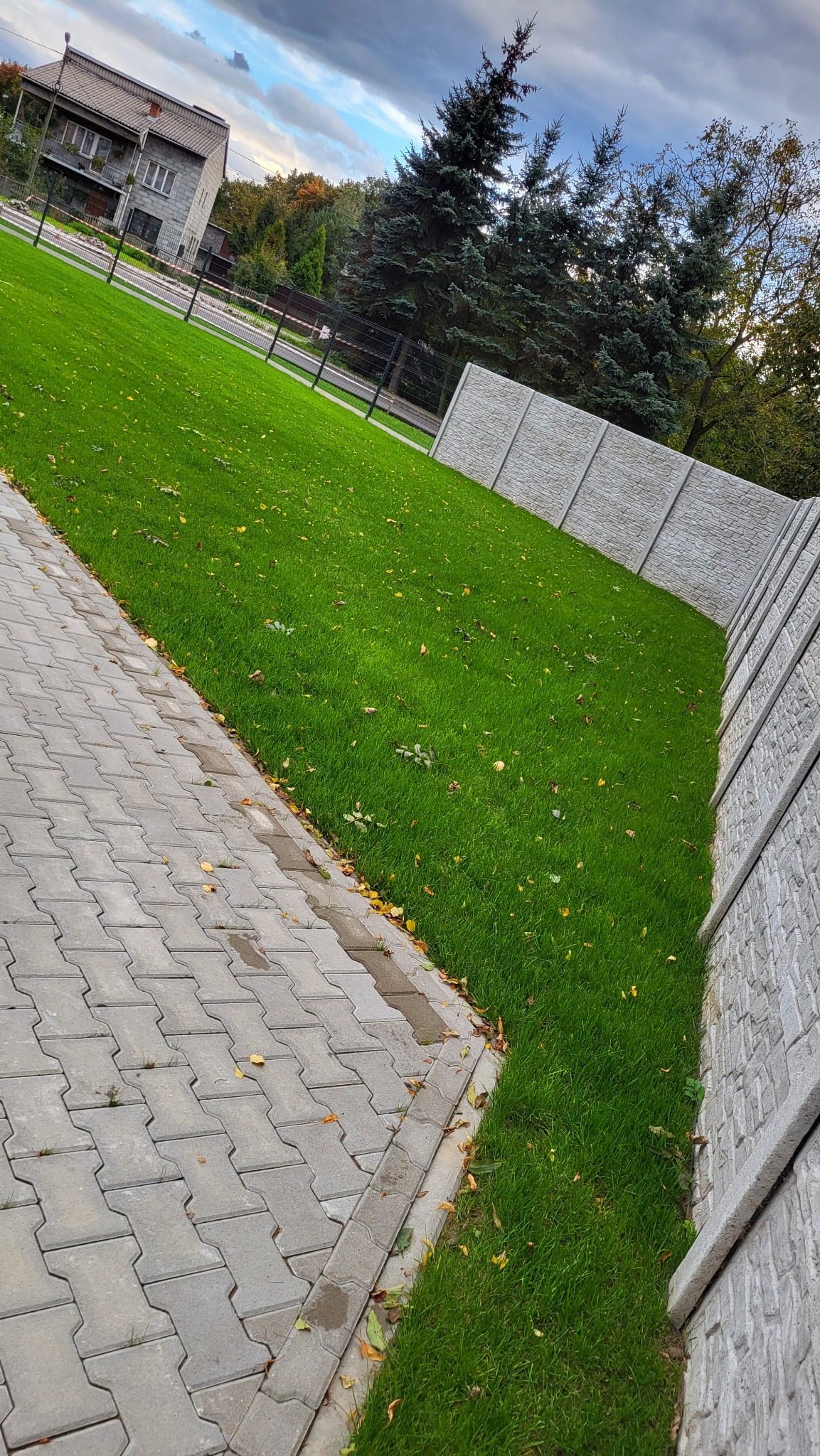 Świeżo skoszony trawnik przylegający do kostki brukowej i betonowego ogrodzenia panelowego, z pojedynczymi opadłymi liśćmi na trawie i kostce.