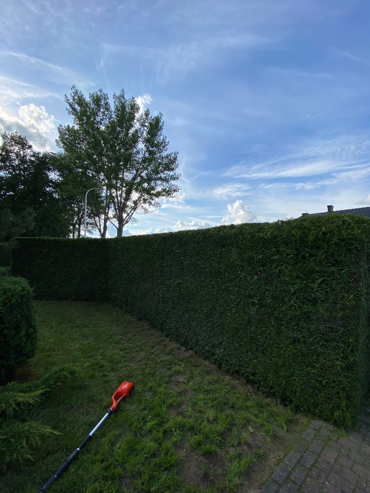 Długi, równo przycięty żywopłot z tui szmaragdowej, widoczny z perspektywy trawnika z leżącymi resztkami trawy i nożycami do żywopłotu, na tle błękitnego nieba z chmurami.