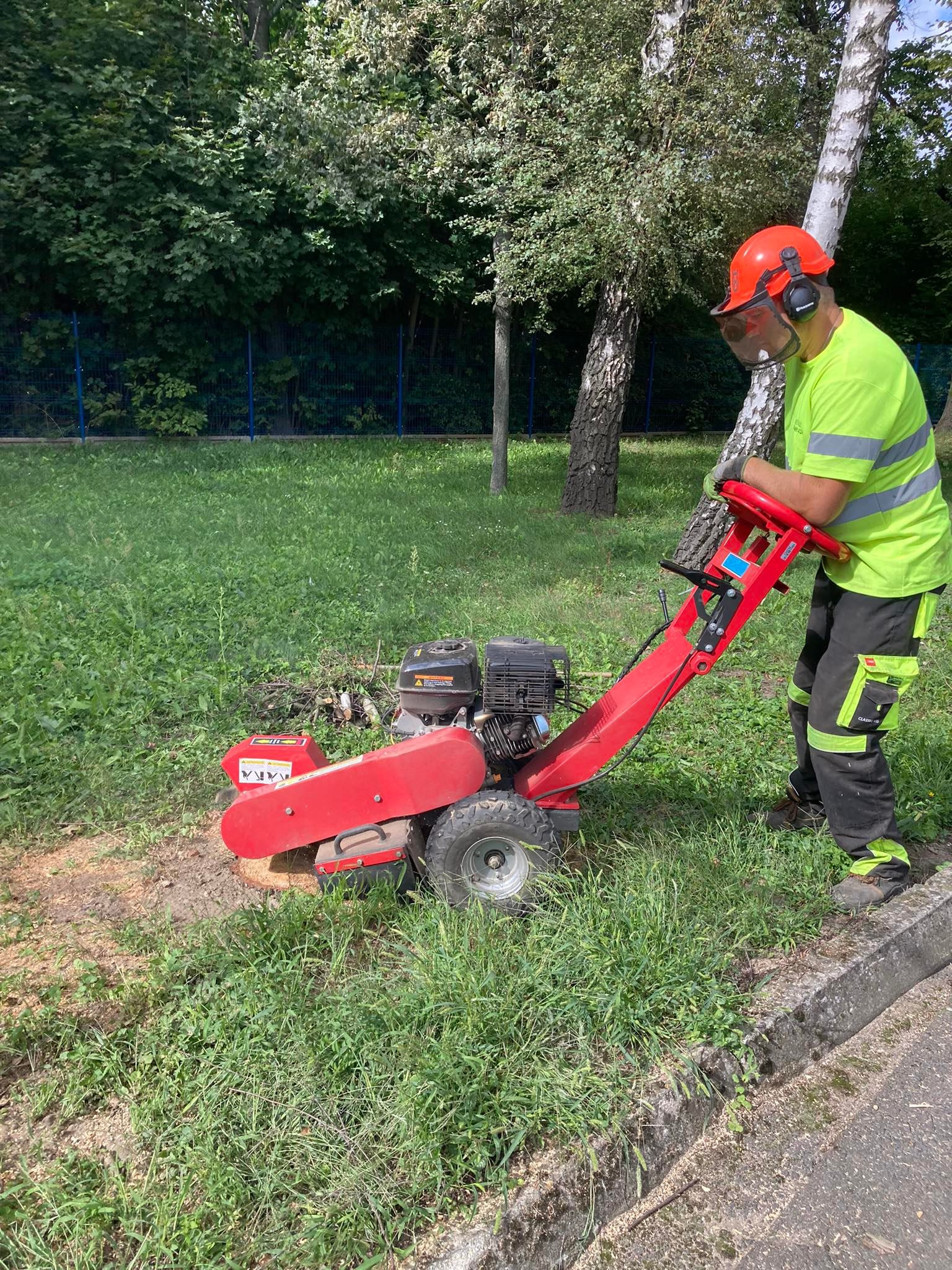 Operator w odzieży ochronnej obsługuje frezarkę do pni drzew na trawniku obok chodnika.