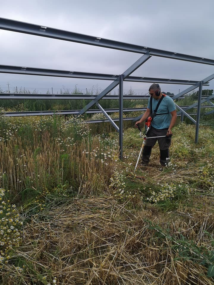 Mężczyzna w słuchawkach ochronnych kosi trawę i chwasty pod metalową konstrukcją, prawdopodobnie pod budowę paneli słonecznych. W tle widoczny krajobraz polny pod pochmurnym niebem.