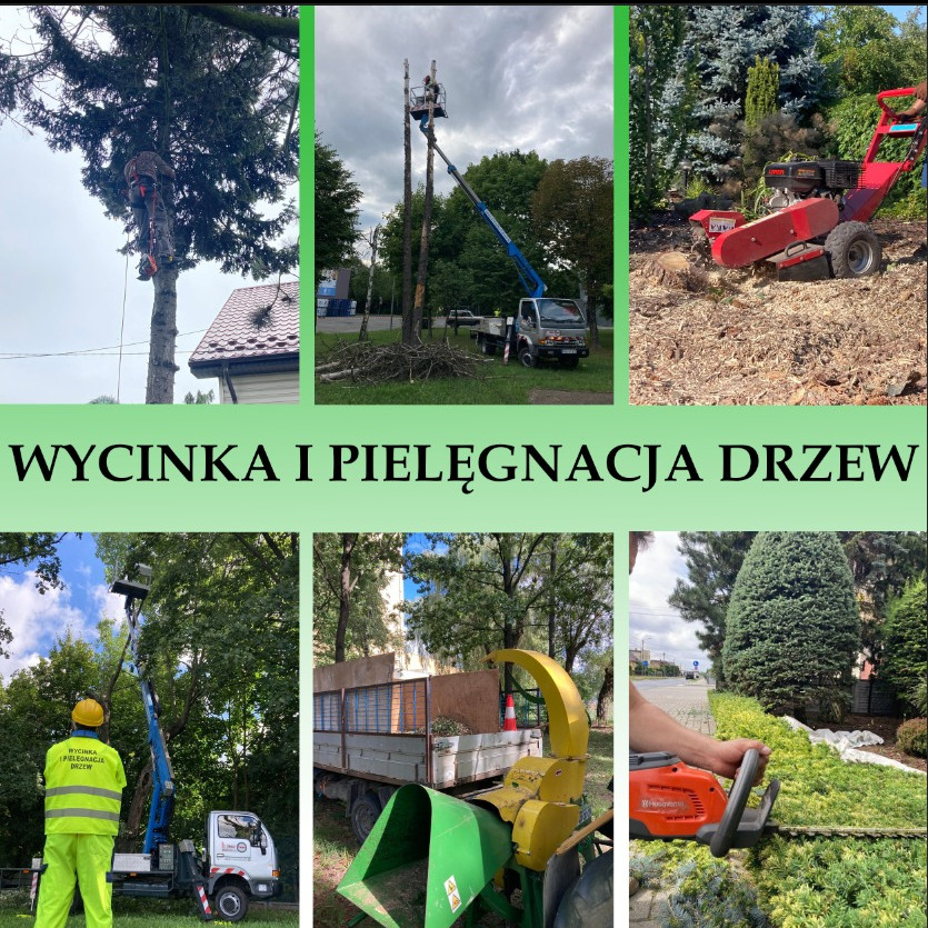 Kompozycja zdjęć przedstawiająca różne etapy wycinki i pielęgnacji drzew: praca arborysty na drzewie obok dachu, podnośnik koszowy z pracownikiem, frezarka do pni w otoczeniu drzew, pracownik...