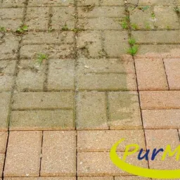 Częściowo wyczyszczona kostka brukowa, widoczna różnica między brudną, zielonkawą częścią a czystą, różową, z logo firmy w prawym dolnym rogu.