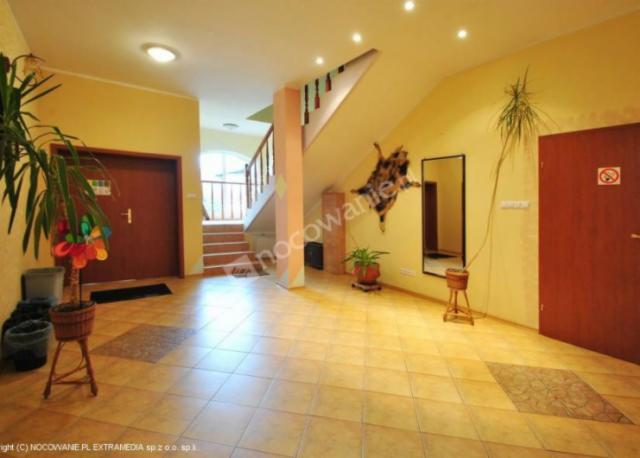 Wnętrze holu z roślinami w doniczkach, schodami w tle i skórą zwierzęcia na ścianie.