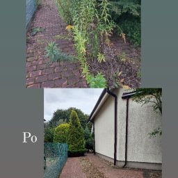 Pielęgnacja ogrodów Murowana Goślina 4