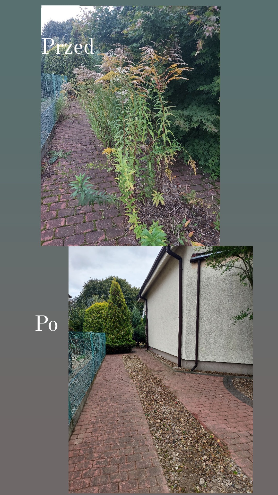 Porównanie stanu ścieżki z czerwonej kostki brukowej przed i po usunięciu chwastów i wysokich roślin, widok na uporządkowany ogród z zielonymi krzewami i zadbanym trawnikiem.