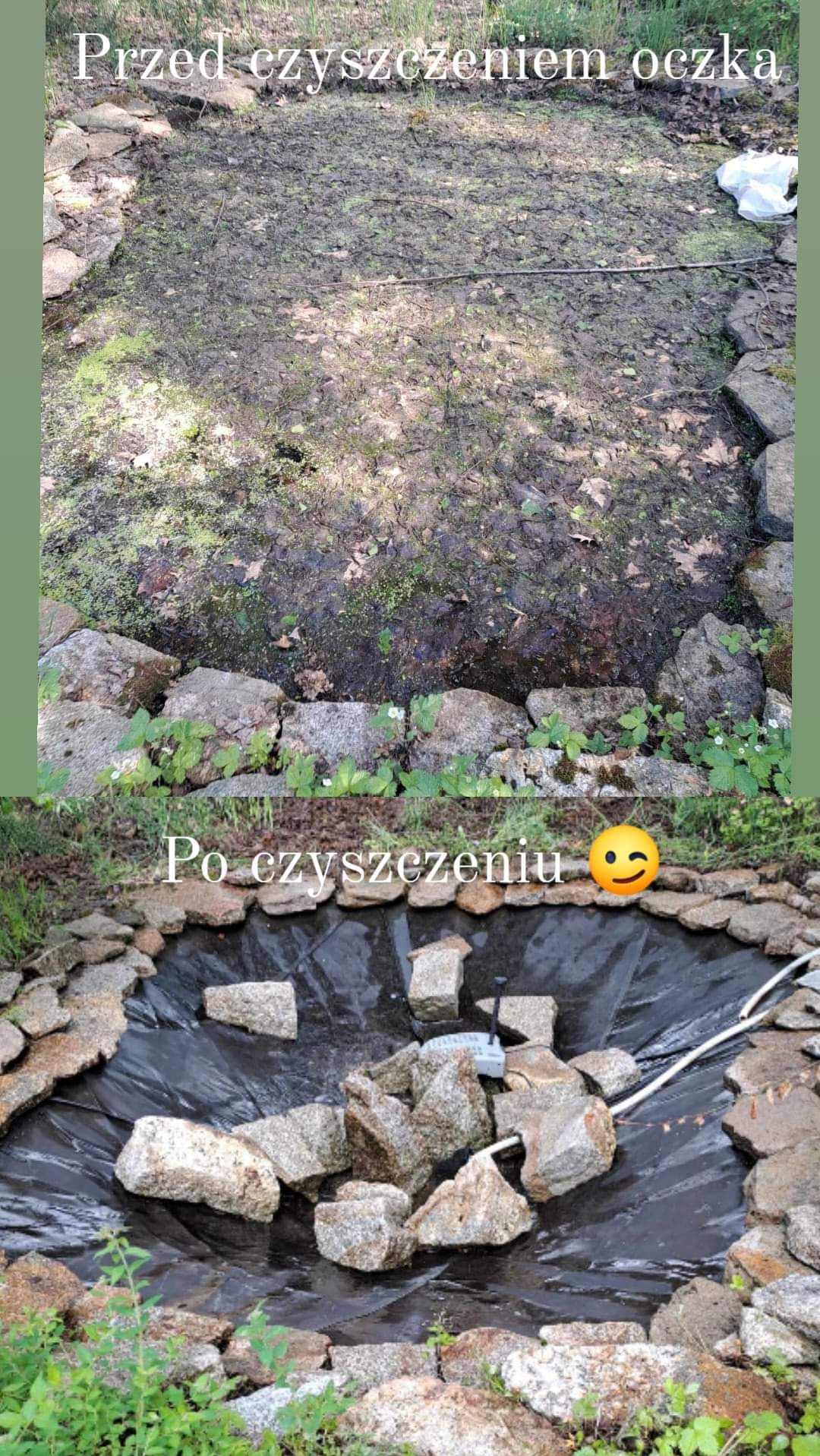 Porównanie oczka wodnego przed i po czyszczeniu: górna część ukazuje zarośnięte dno, dolna część prezentuje oczyszczone dno wyłożone czarną folią, z kamieniami na dnie i brzegach.