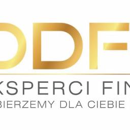 DDF24 Eksperci Finansowi Dariusz Wasilewski - Doradztwo Kredytowe Zielona Góra