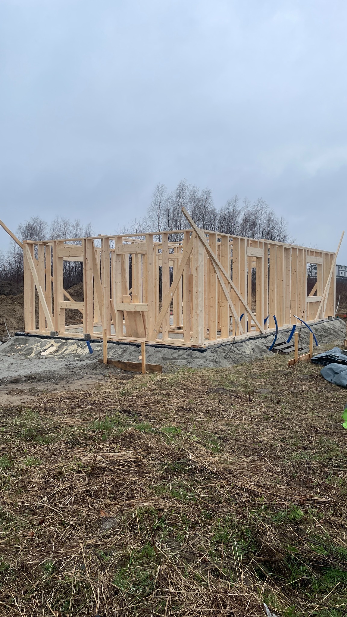 Wznoszenie szkieletu drewnianego domu jednorodzinnego na fundamencie, widoczne elementy konstrukcyjne, w tle drzewa bez liści i pochmurne niebo.