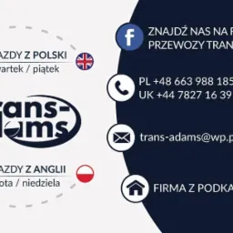 Grafika informacyjna firmy Trans-Adams z Podkarpacia, oferującej wyjazdy z Polski w czwartki i piątki oraz z Anglii w soboty i niedziele, z danymi kontaktowymi: numerami telefonów PL i UK, adresem...