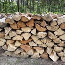 Stos pociętego drewna ułożonego na ziemi, widoczne słoje i kora, w tle las.