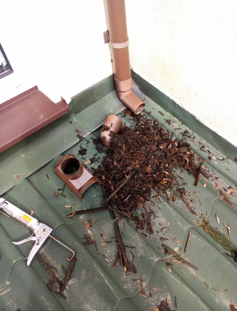 Zatkany odpływ rynnowy z nagromadzeniem liści i gałęzi na zielonym dachu, obok leży pistolet do uszczelniacza i fragment rynny.