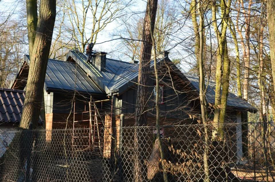 Dekarz na dachu domu z blachy trapezowej, widoczny przez siatkę ogrodzeniową i drzewa. Prace dekarskie w toku, drabina oparta o komin. Zimowy krajobraz.