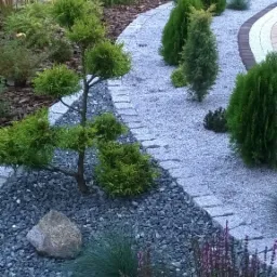 Uporządkowany ogród z kamienną ścieżką, ozdobnymi krzewami i drzewkami iglastymi, wysypany szarym żwirem i korą, z kamiennym murem w tle.