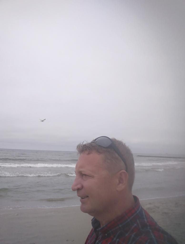 Mężczyzna w koszuli w kratę na plaży, w tle morze, pochmurne niebo i ptak w locie. Okulary na głowie. Profil.