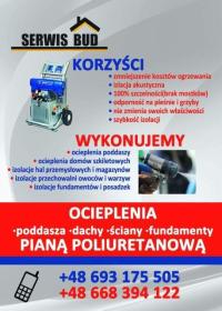SERWIS BUD Tomasz Korzekwa - Elewacje i ocieplenia Lubliniec