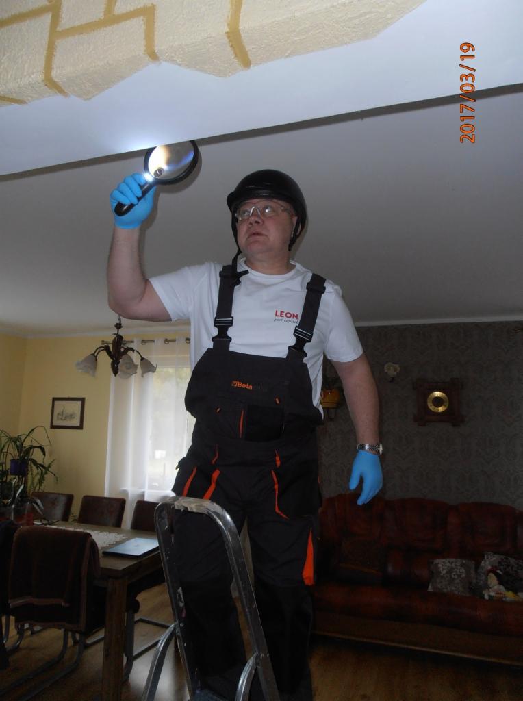 Pracownik w kombinezonie Beta i kasku, stojący na drabinie, używa lupy z podświetleniem do inspekcji sufitu w pomieszczeniu z meblami, prawdopodobnie w celu wykrycia śladów insektów.