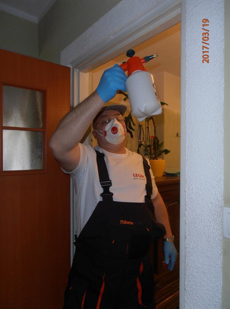 Pracownik w kombinezonie ochronnym, masce i rękawicach, trzyma opryskiwacz w górze, przygotowując się do zabiegu w pomieszczeniu.