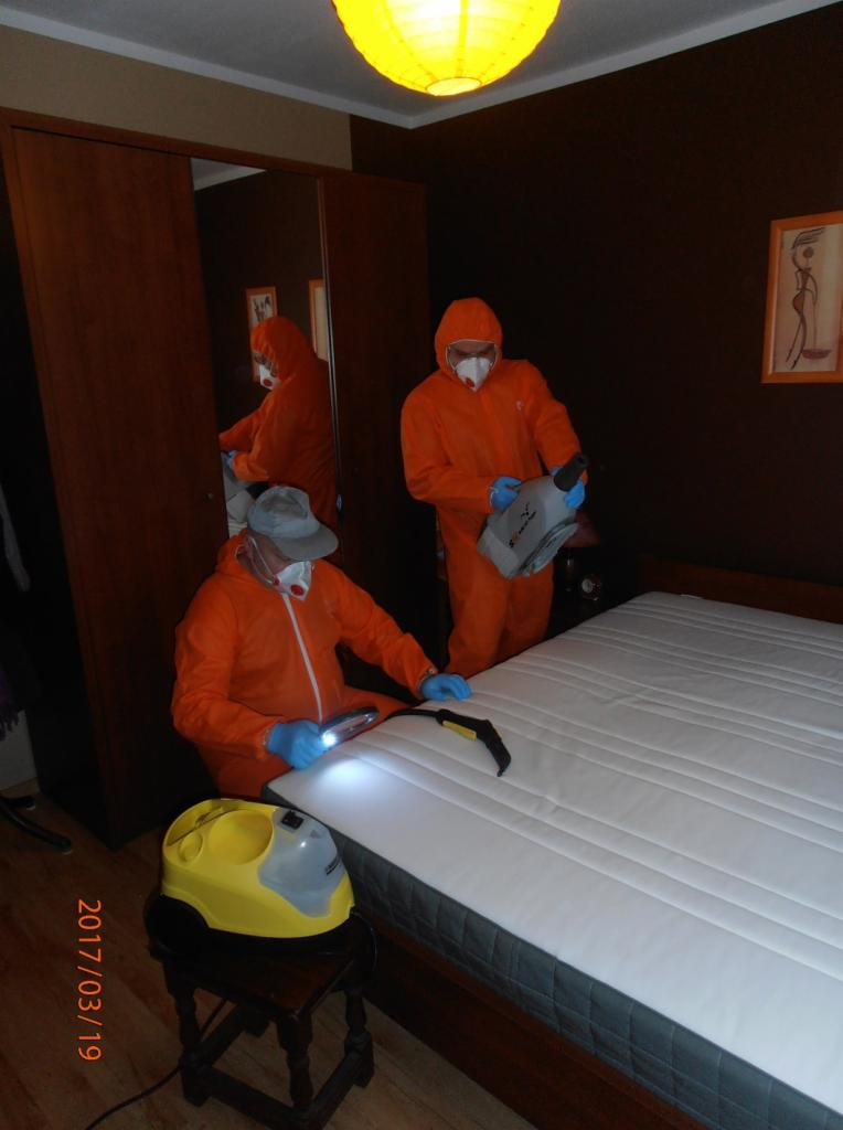 Dwaj pracownicy w pomarańczowych kombinezonach ochronnych i maskach, jeden z latarką i dyszą, drugi z pojemnikiem, inspekcjonują materac w sypialni z brązowymi ścianami, obok stoi parownica Karcher...