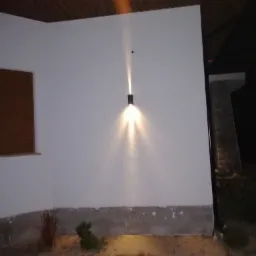 Zewnętrzna lampa ścienna w czarnej obudowie oświetlająca elewację budynku i roślinność na zewnątrz.