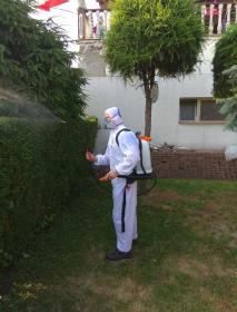 Inter-Pest - Dezynsekcja i deratyzacja Polkowice