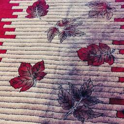 Pranie dywanów Wejherowo 3