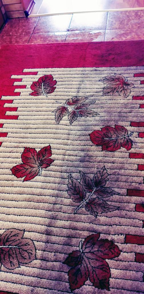 Wzorzysty dywan z motywem liści w odcieniach czerwieni i beżu, położony na podłodze z płytek.