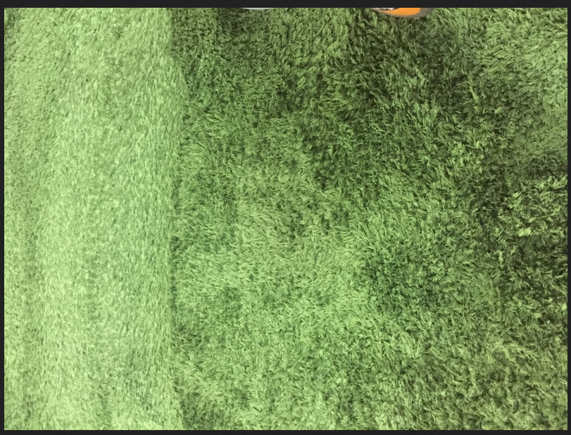 Zielony dywan shaggy z widoczną różnicą w odcieniu po czyszczeniu, z fragmentem buta w górnym kadrze.