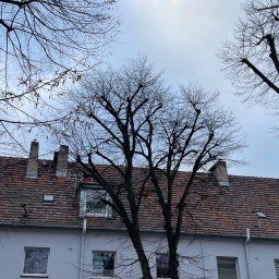 PPUH ARTBUD - Doskonała Renowacja Elewacji Ostrów Wielkopolski