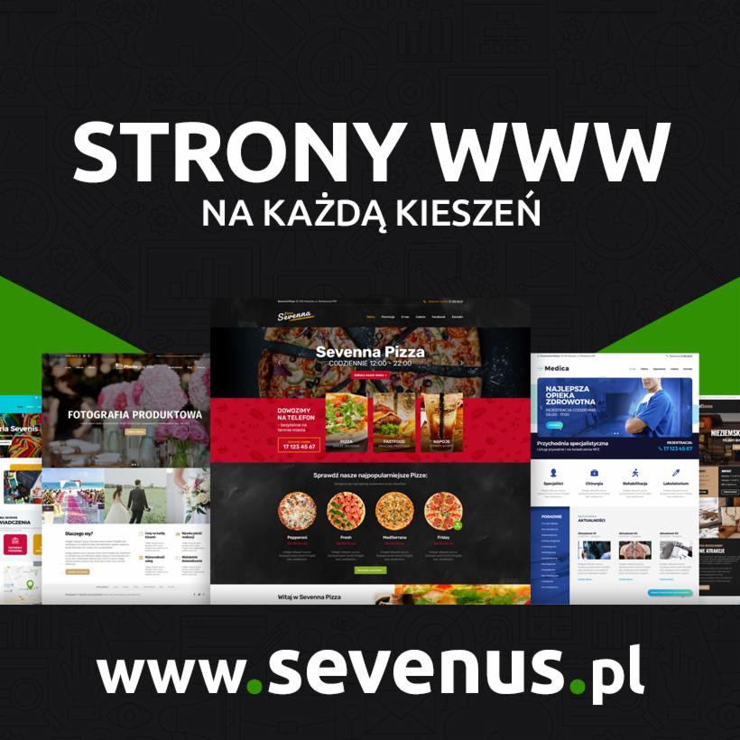 Przykładowe strony internetowe o różnej tematyce, w tym pizzeria, fotografia produktowa i opieka zdrowotna, prezentowane na tle z grafiką techniczną i hasłem 'Strony WWW na każdą kieszeń'...