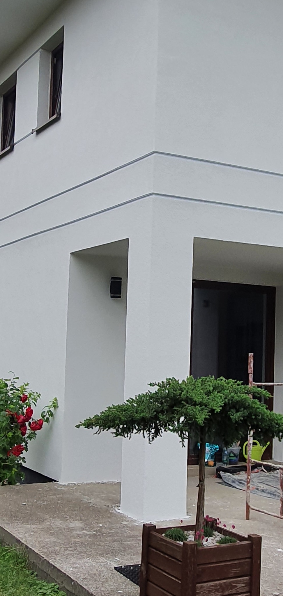 Świeżo otynkowana elewacja domu z dekoracyjnymi listwami, widoczny fragment fasady z wejściem i małym drzewkiem w donicy na pierwszym planie, obok kwitnące róże.