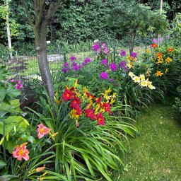 F.H.U. Momot Adrian - Prace Ogrodowe Bielsko-Biała