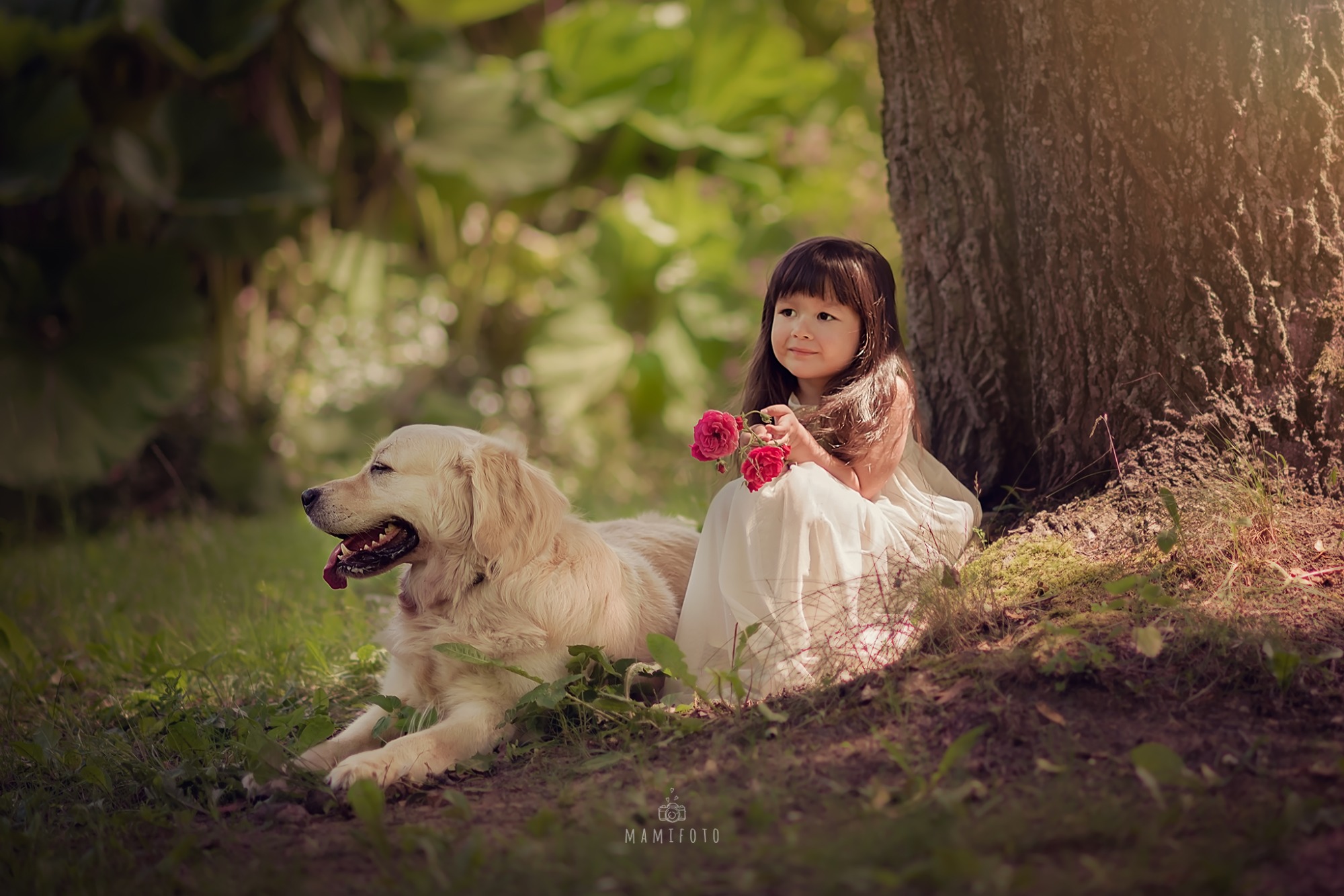 Dziewczynka w białej sukience siedzi pod drzewem z bukietem róż, obok leży golden retriever z wywieszonym językiem.