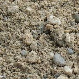 KRISPOL KRUSZYWA Krzysztof Niedziałek - Piasek budowlany z widocznymi kamyczkami o różnej granulacji, oświetlony naturalnym światłem, wypełniający kadr. Tekstura piasku wyraźnie widoczna.